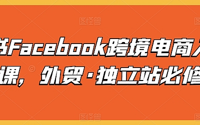 脸书Facebook跨境电商入门课，外贸·独立站必修